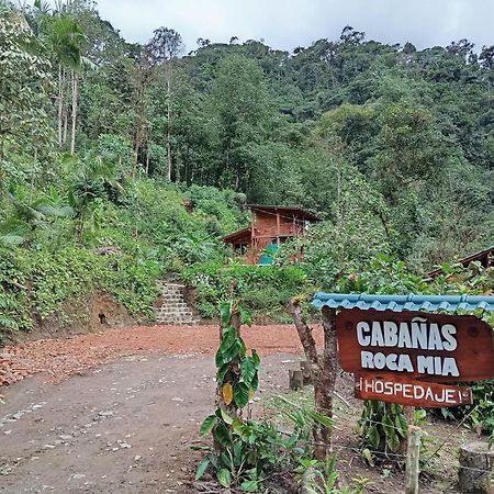 Hospedaje Cabanas Roca Mia ميندو المظهر الخارجي الصورة